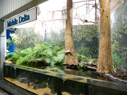 Dauphin Island Sea Lab