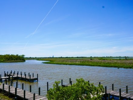 View of Mobile Bay from Five Rivers Delta Resource Center in Mobile
