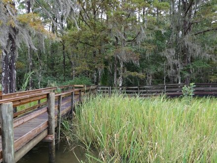 boardwalk trails along historic blakeley state park in Spanish fort
