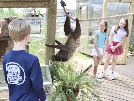 Kids checking out a sloth at the Zoo Camp on Alabama's Beaches