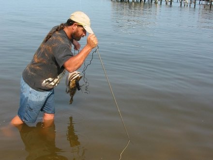 Man fishing during a jubilee phenomenon in mobile bay