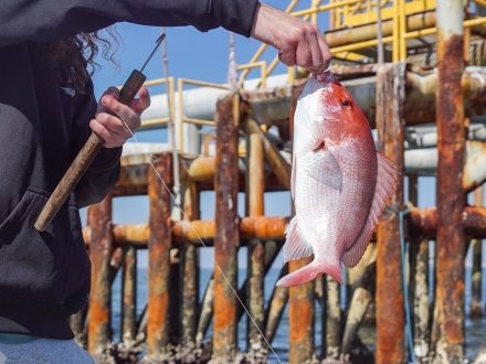 Angler holding a red snapper caught while rig fishing in Fort Morgan