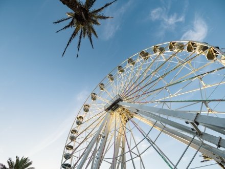 The Wharf Orange Beach