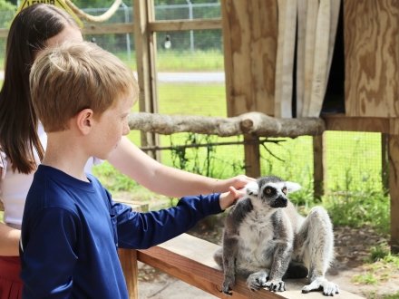 Kids at the Alabama Gulf Coast Zoo enjoying an animal encounter