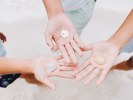 Kids' hands holding seashells found on the shoreline in Orange Beach.