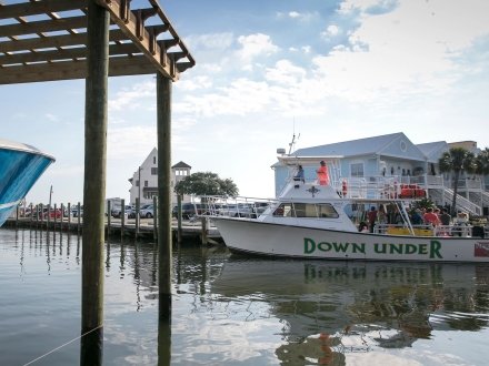 Down Under Down Shop diving boat