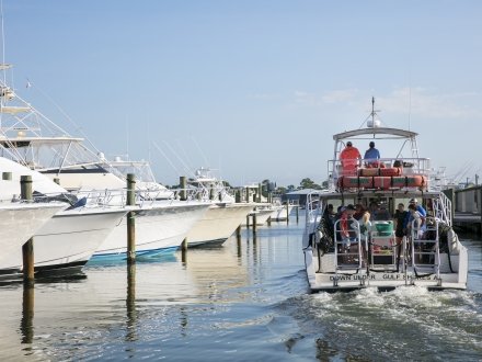 Down Under Dive Shop diving tour boat heading out into the water