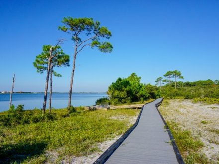 Scenic nature trail in Bon Secour National Wildlife Refuge, hiking and birding spot in Fort Morgan. 