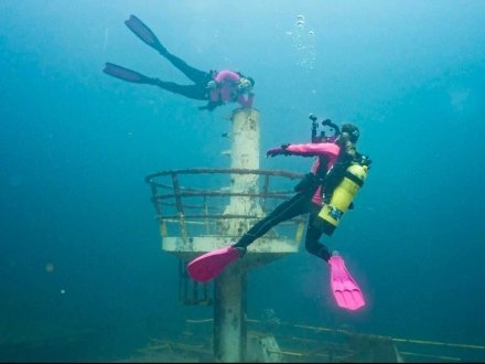 Divers exploring underwater in Gulf Shores