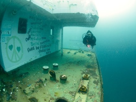 Diver exploring The LuLu dive site in Orange Beach