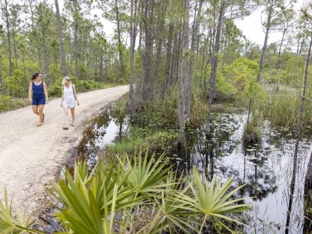 Friends walking on Pine Beach Trail in the Bon Secour Wildlife Refuge