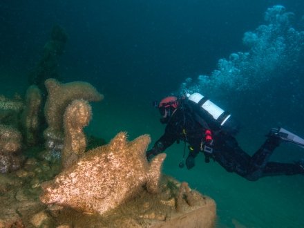 Poseidon's Playground top dive spot in Orange Beach