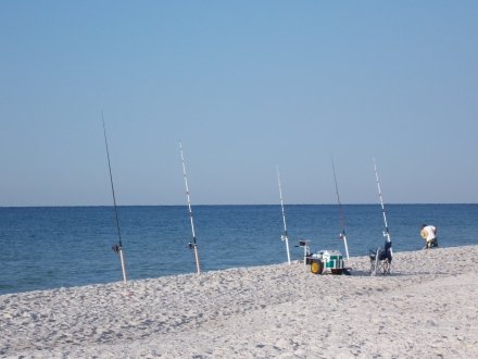 Surf fishing along the beach in Gulf Shores