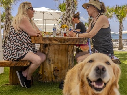A dog and it's owners enjoying their meal at an outdoor pet-friendly restaurant on Alabama's Beaches