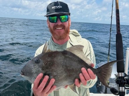 angler holding a triggerfish caught while fishing in orange beach