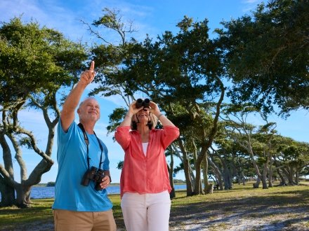 Snowbirds looking for fellow birds in the Gulf State Park