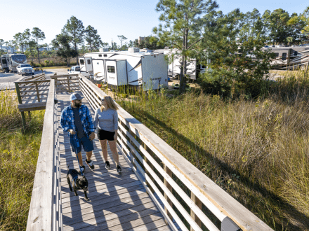Visitors walking dogs on a boardwalk at Gulf State Park RV Park and Campground, surrounded by trees and RVs