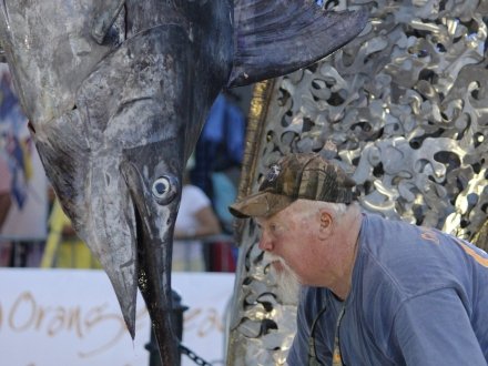 Billfish Classic in Orange Beach, Alabama