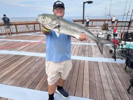 Angler holding a large bluefish caught at The Gulf State Park Fishing Pier in Gulf Shores