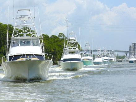Fishing boats heading out for a big game fishing tournament in Orange Beach
