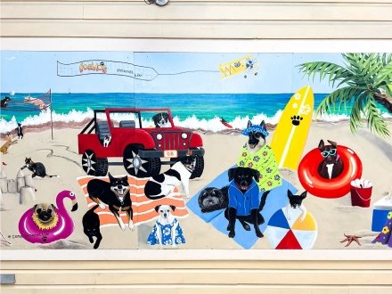 Cosmo's dog Mural Orange Beach