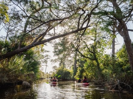 Family kayaking along the back bays in Orange Beach