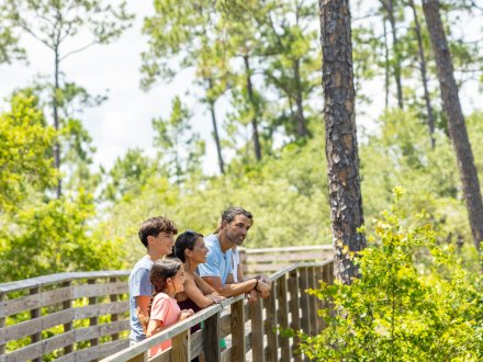 Family walking and enjoying the Gulf State Park together