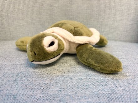 Turtle plushie