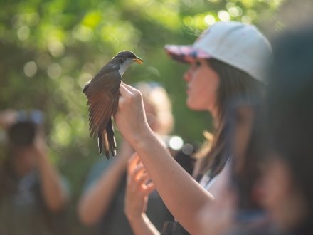 A person with a bird on Alabama's Beaches