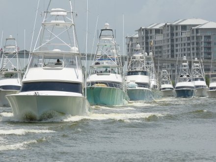 Boats leaving The Wharf Marina to kick off the Blue Marlin Grand Championship