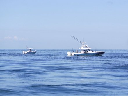 Boats cruising in the Gulf in Orange Beach