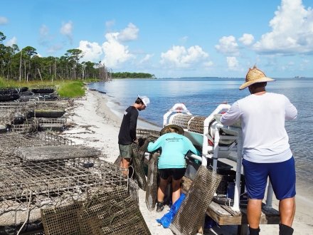 Admiral Shellfish oyster farm in Fort Morgan