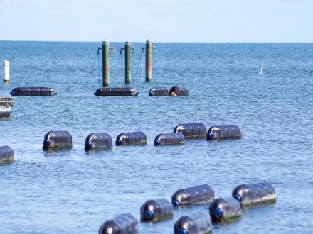 Admiral Shellfish oyster farm in Fort Morgan
