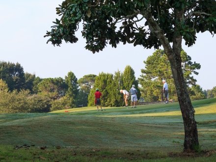 Friends playing a round of golf at Peninsula Golf & Racquet Club in Gulf Shores
