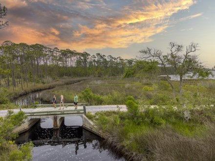 Aerial view of people hiking in Bon Secour National Wildlife Refuge in Fort Morgan