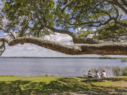 People gathered around a picnic table near the calm waters of Lake Shelby in Gulf State Park