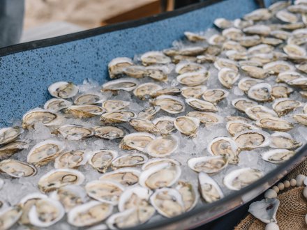 Oysters at Experience the Oyster at The Hangout
