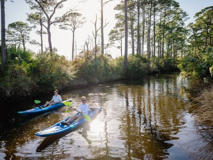 Kayaking at Alabama's Beaches