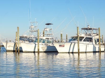 Fort Morgan Marina