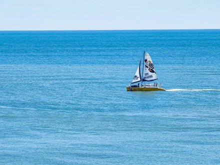 Sail Wild Hearts cruising the Gulf