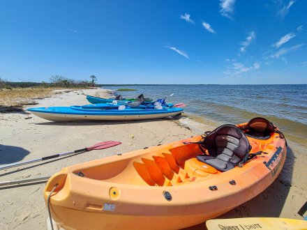 Wild Native Tours Kayaking