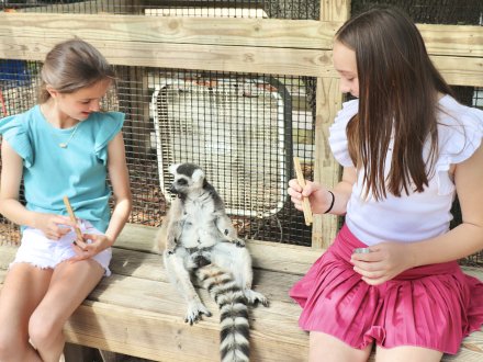 Alabama Gulf Coast Zoo