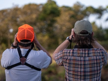 Birders looking through binoculars to spot migratory birds in Fort Morgan
