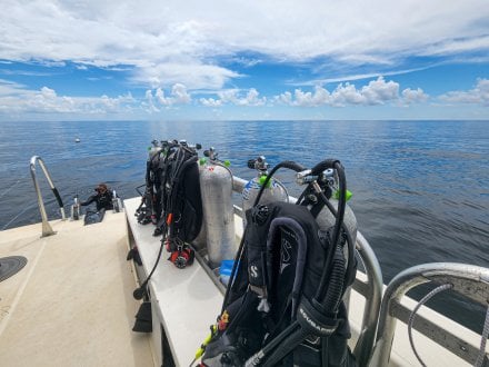 down under dive shop guided dive trip in Orange Beach