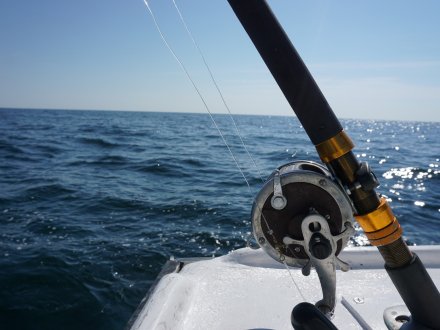 Fishing reel on an Orange Beach charter boat trolling for fish in the Gulf