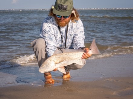 Anglers holding a redfish caught while surf fishing in Orange Beach