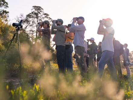 Attendees looking at birds through binoculars at BirdFest in Fort Morgan