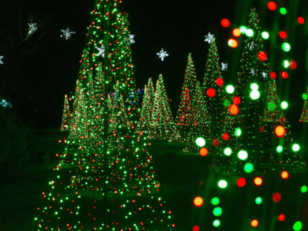 bellingrath gardens christmas night in lights holiday display