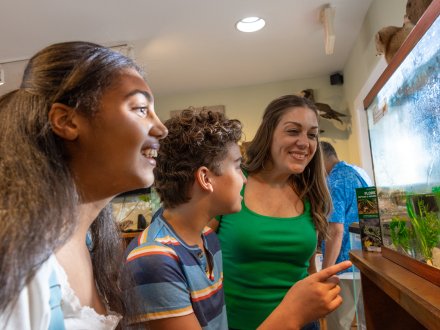 family looking at the native wildlife at the nature center free attraction in gulf state park