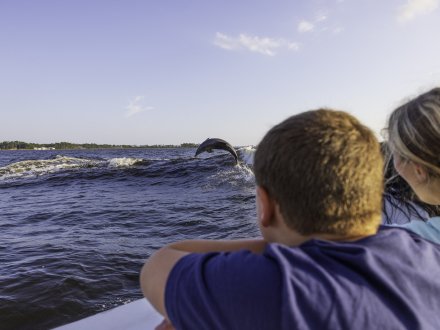 Family watching dolphins jump out of water on a cruise in Orange Beach